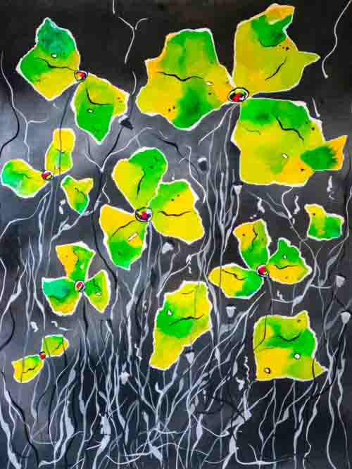 A touch of lime - limited edition