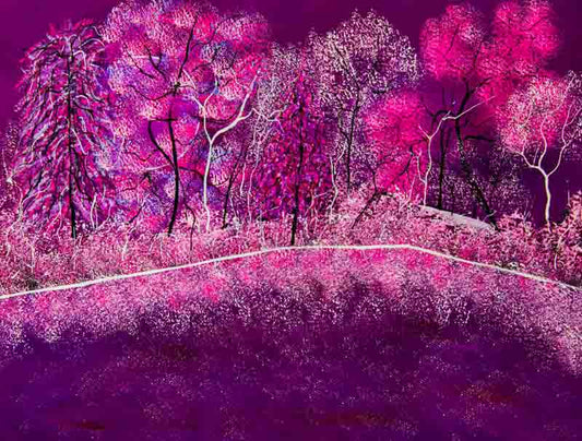 All shades of pink - original (framed) / prints available