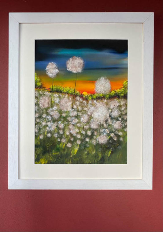 Allium paradise - limited edition