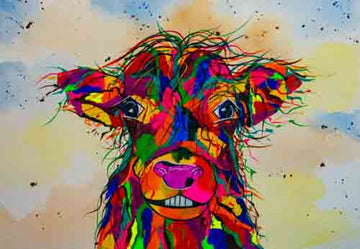 Angus - limited edition