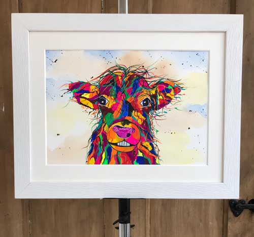 Angus - limited edition