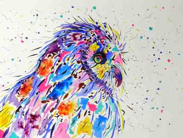 Barn owl - limited edition