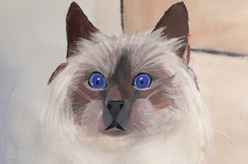 Blue eyes - original (framed) / prints available