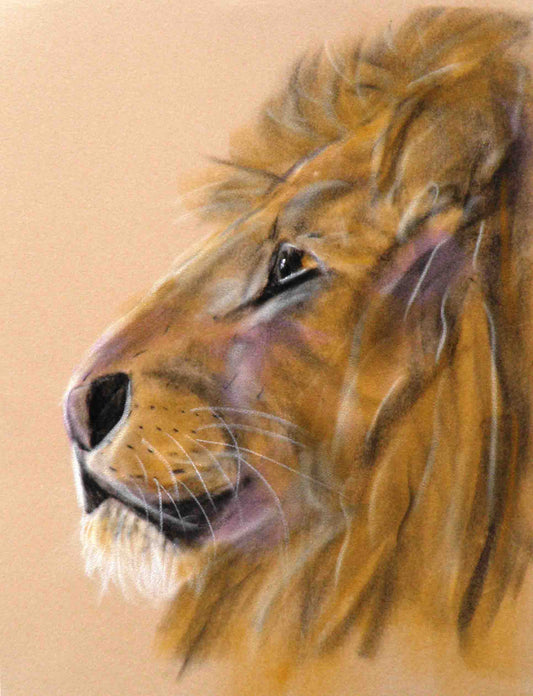 Courageous - limited edition