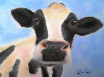 Daisy - limited edition