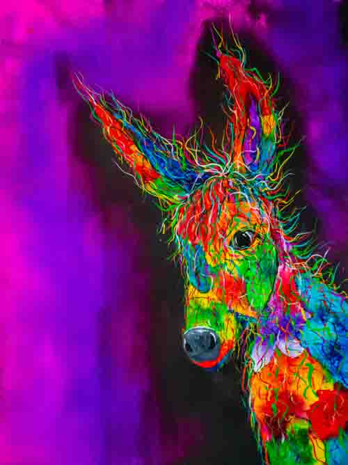 Ears looking at ya - limited edition