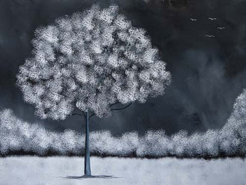 Fly high, shine bright - limited edition