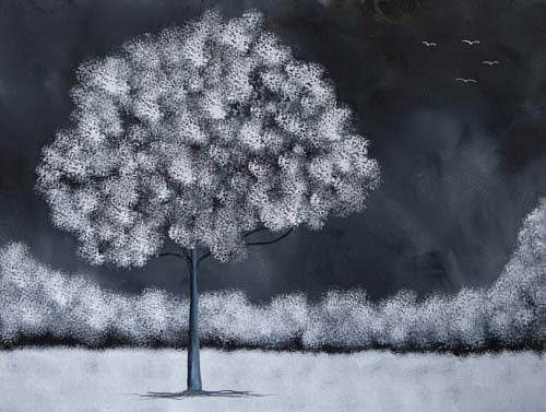 Fly high, shine bright - limited edition