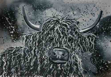 Fraser - limited edition