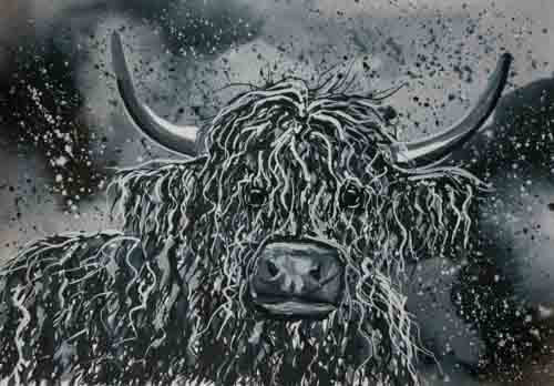 Fraser - limited edition