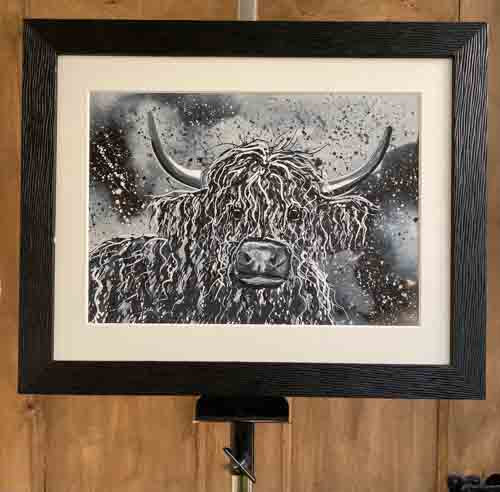 Fraser - limited edition