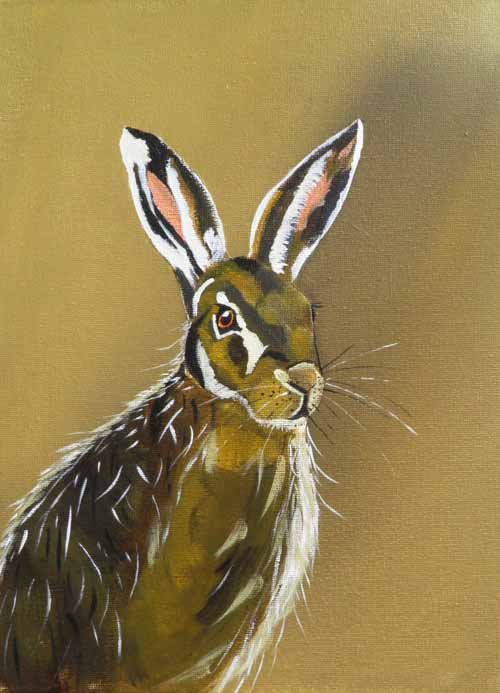 Hector - limited edition