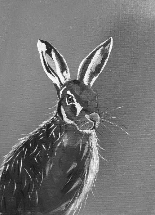 Hector black and white - limited edition