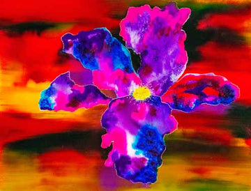 Iris istible  - limited edition