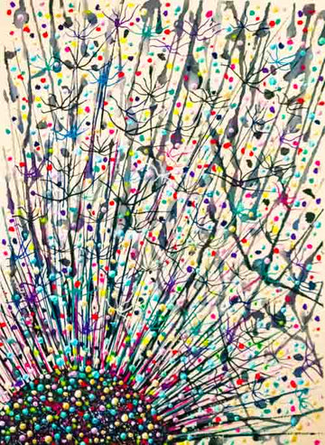 It all starts with a wish - limited edition