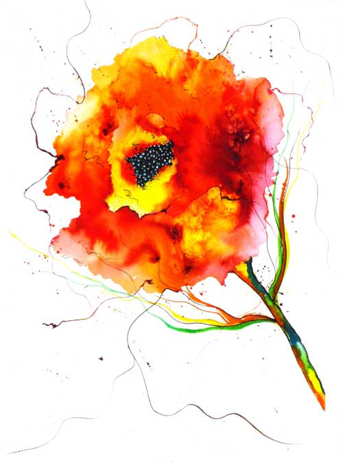 Jolly poppy - limited edition