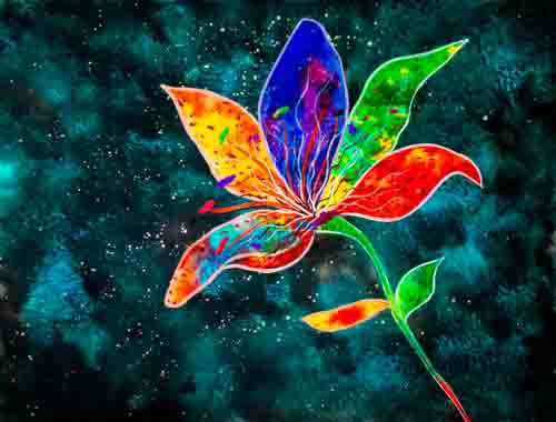 Lily love - limited edition