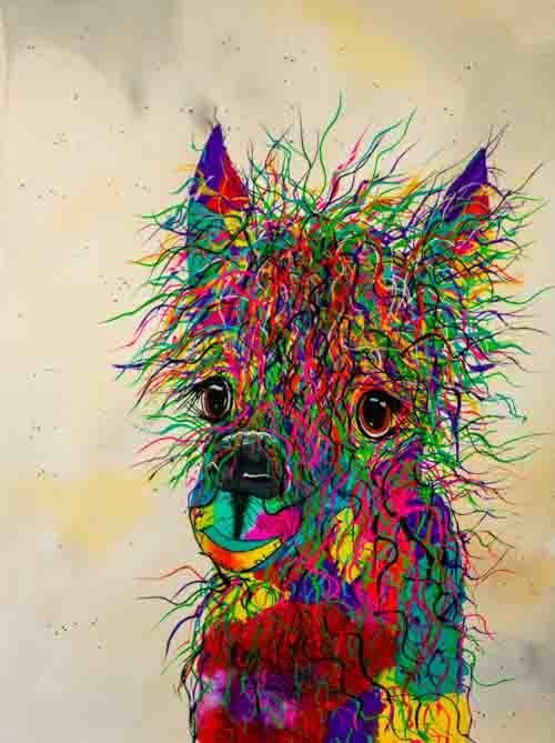 Llamanade - limited edition