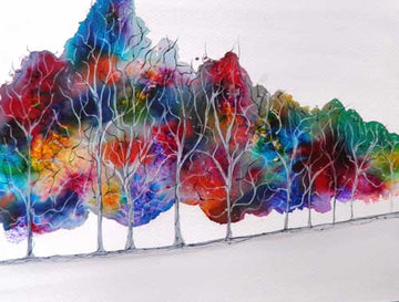 Look through the colours - limited edition