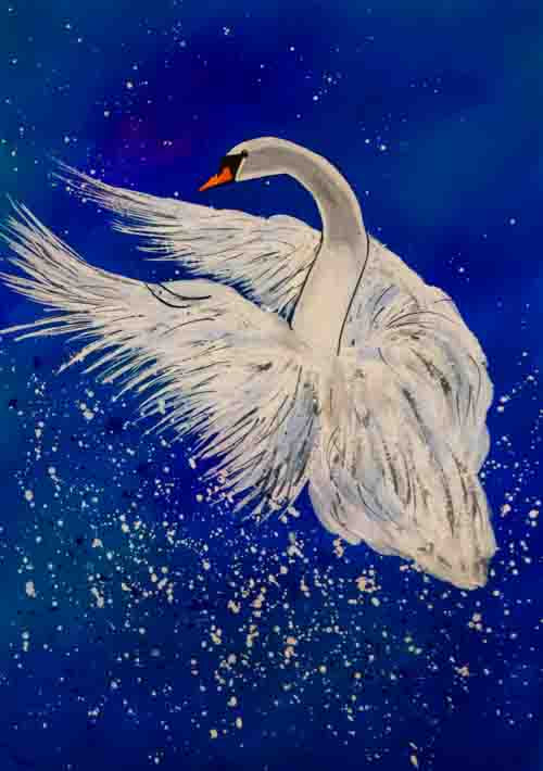 Majestic - limited edition