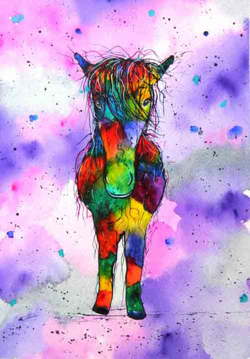 Mr Cob - limited edition