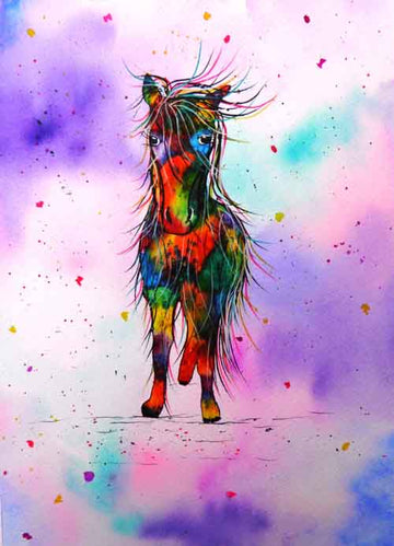 Mrs Cob - limited edition