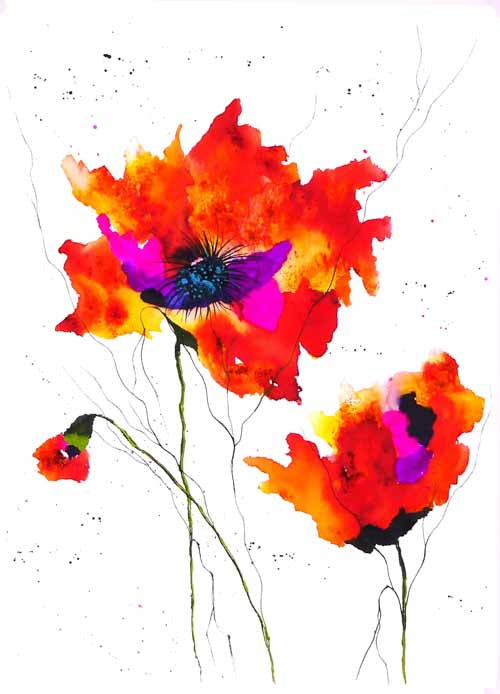 New life - limited edition