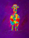 No drama Llama - limited edition
