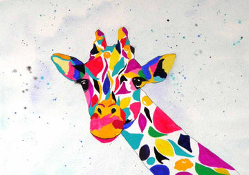 Noah - limited edition