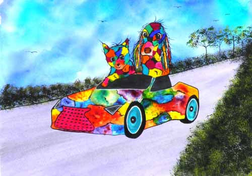 Off for a spin - limited edtion