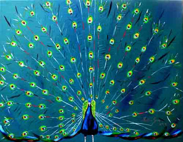 Peacock - limited edition