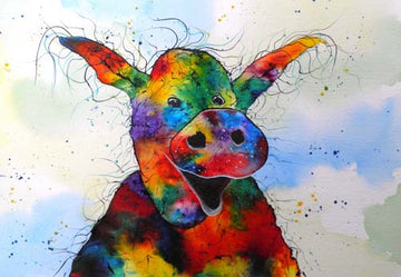 Percy - limited edition