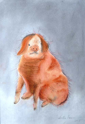 Pinky the piggy - limited edition