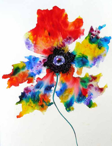 Pretty poppy boxed canvas