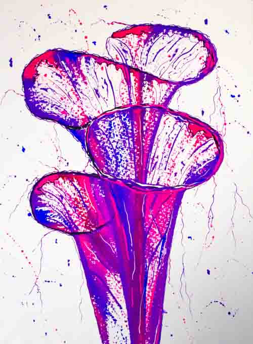 Purity - original (framed) / prints available (SOLD)