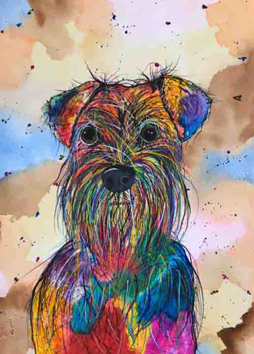 Snooty - limited edition