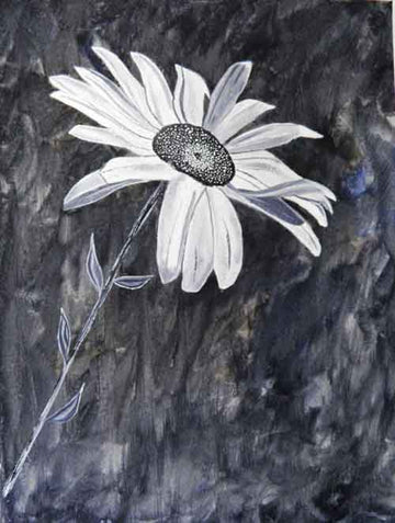 Sophistication - limited edition