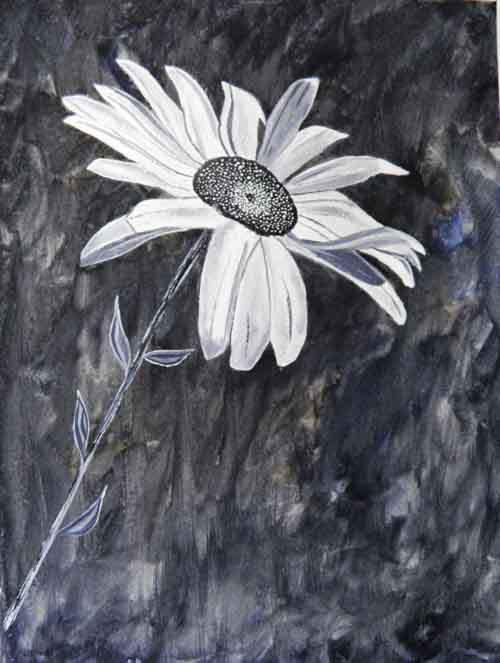 Sophistication - limited edition