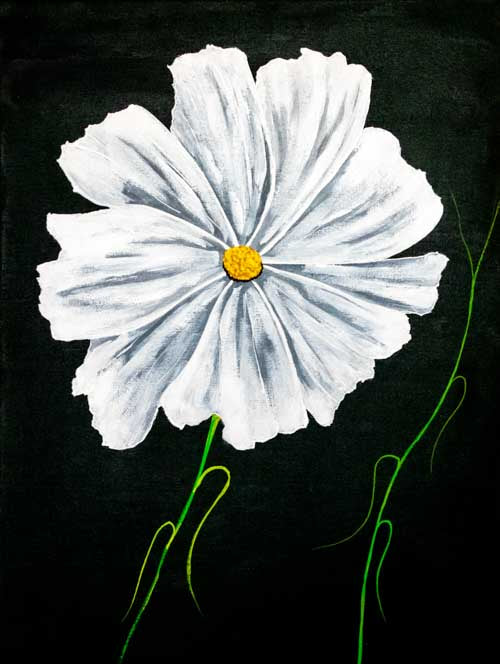 Stand out - limited edition