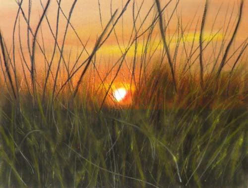 Sunset through the grass - limited edition