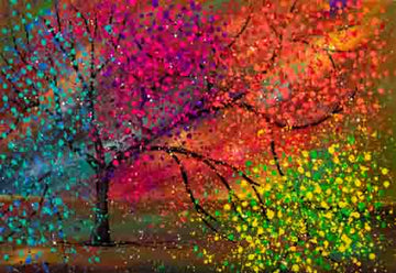 The rainbow tree - limited edition