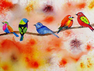 Tricky dicky birds - limited  edition