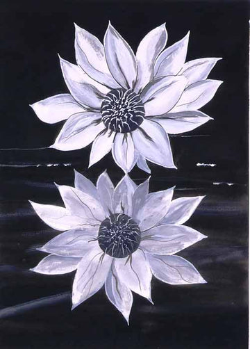 Twins - limited edition