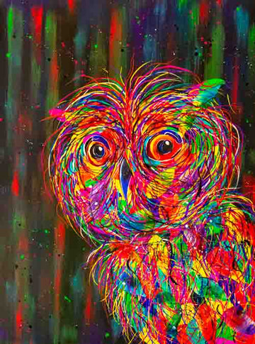 Who gives a hoot - limited edition