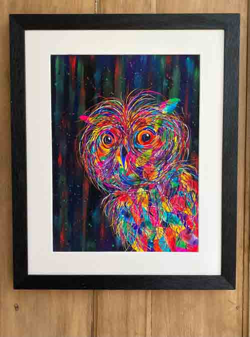 Who gives a hoot - limited edition