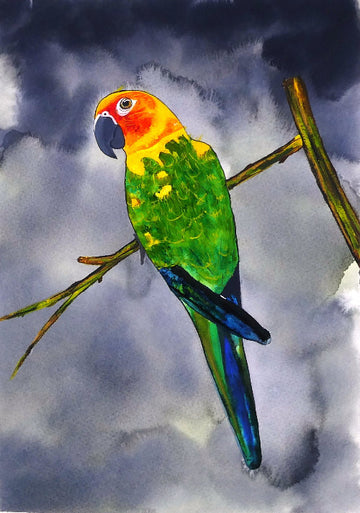 Who's a pretty boy then - limited edition