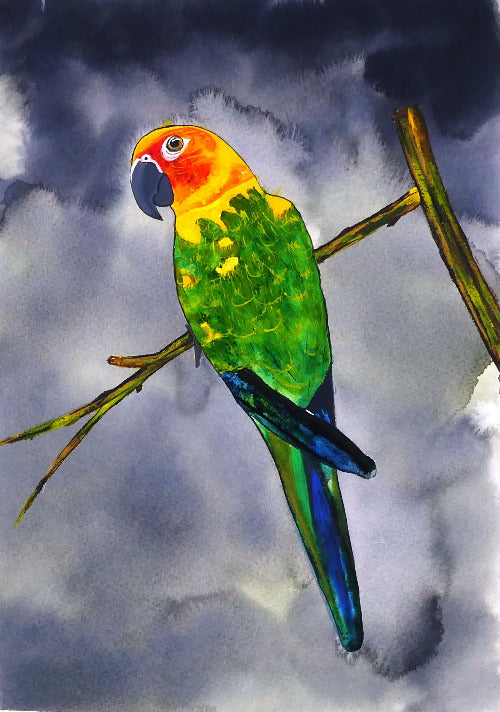 Who's a pretty boy then - limited edition